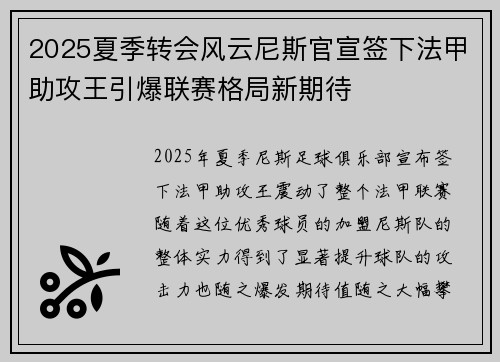 2025夏季转会风云尼斯官宣签下法甲助攻王引爆联赛格局新期待